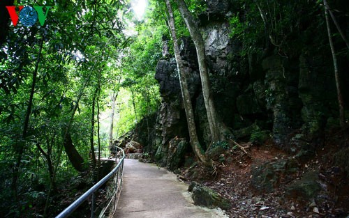 Splendid scenery of Thien Duong cave - ảnh 2